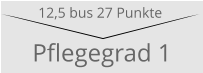 Pflegegrad 1 12,5 bus 27 Punkte